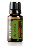 melaleuca-tea-tree_lg