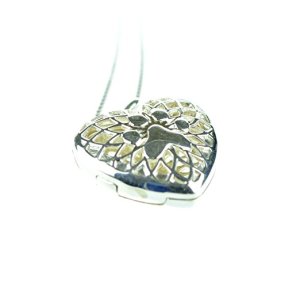 silver-paw-print-diffuser-necklace